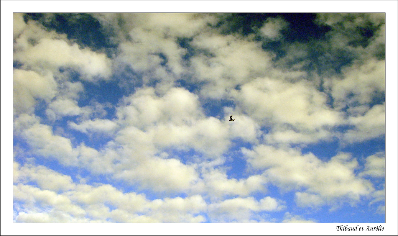 2009 - 08 - Moorea 20